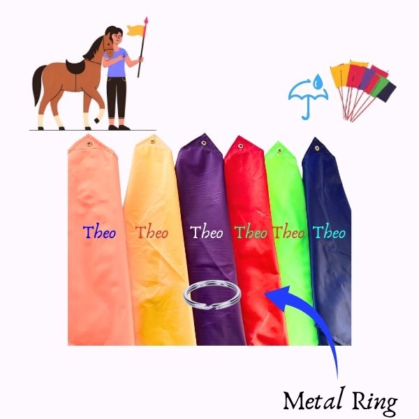 Custom Name Embroidery | Natural Horsemanship Training Flag