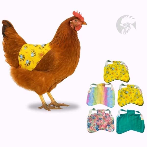 5X Chicken Saddle Apron Hen Feather Protector Jacket Coat