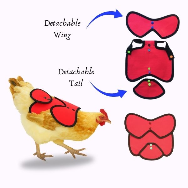 Chicken Saddle | Poultry Apron Wings Tail Protection