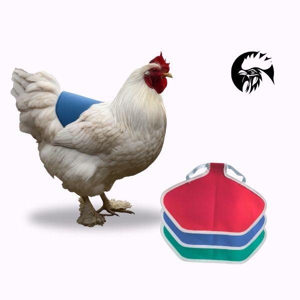 Chicken Saddle | Hen Apron | Wide | Elasticated Jacket | Egg Layer