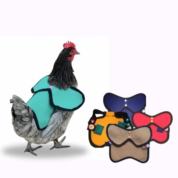 Chicken Saddle with Wings and Belly Strap | Hen Apron
