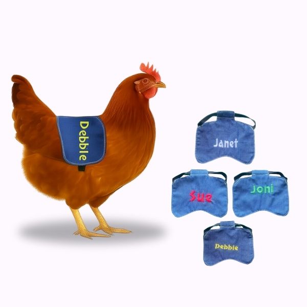 Embroided Custom Name Chicken jacket saddle