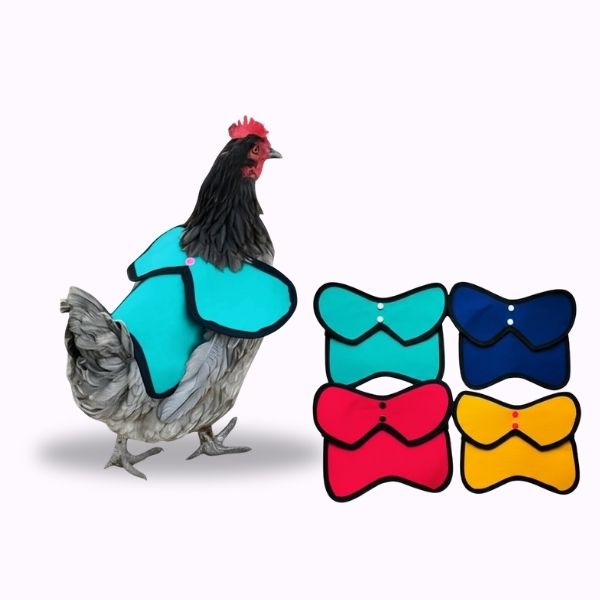 Waterproof Chicken Saddle with Adjustable Straps & Soft Lining