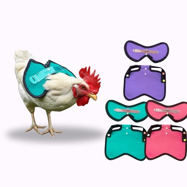 CHICKEN SADDLE | Poultry Jacket | Hen Apron | Spur Resistant