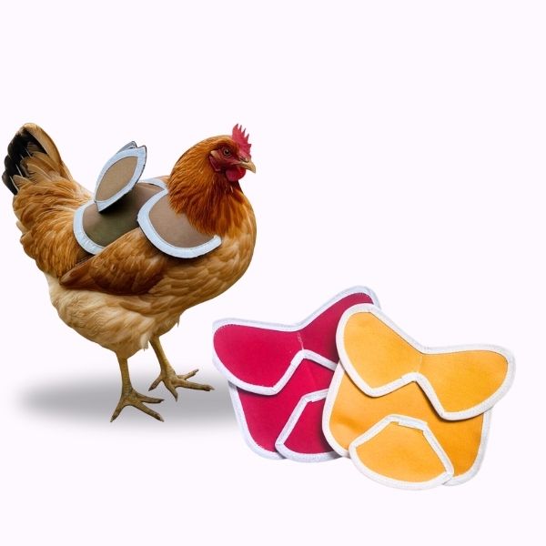 CHICKEN SADDLE | Chicken Apron | WINGS & Tail PROTECTION