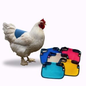 CHICKEN SADDLE | Chicken Apron | HEN protector | Waterproof Canvas