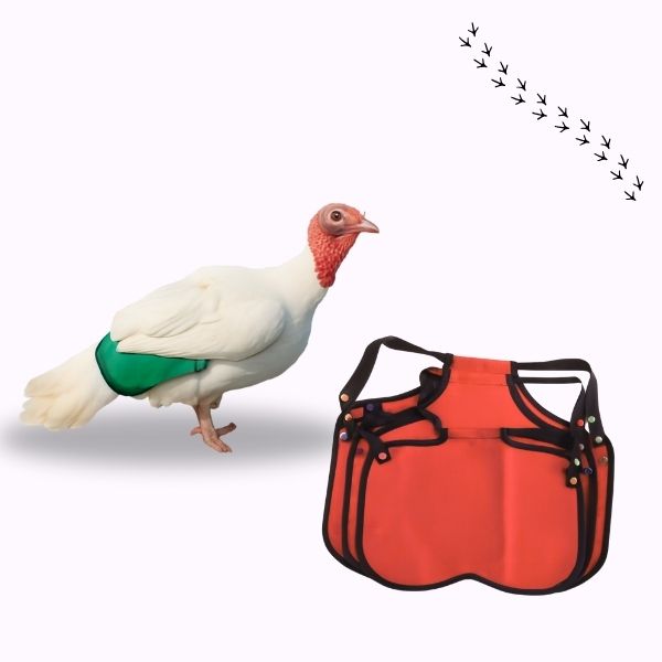 Turkey saddle Adjustable Stag protector Apron Waterproof
