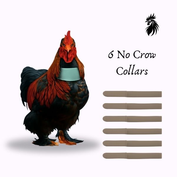 6X 18CM | Cockerel Collar | Rooster Quiet Collar | Low Crow