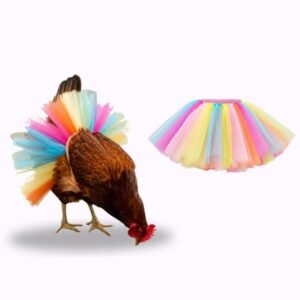 Chicken Accessories