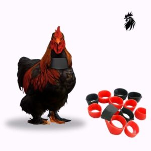 Velcro Crow Reduction Collar | Handmade Quiet Roosters