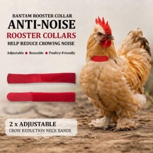BANTAM ROOSTER COLLAR Set of 2 Crow Reduction Neck Bands for Small Medium Large Cockerels Adjustable Reusable Quiet Poultry Care Accessories