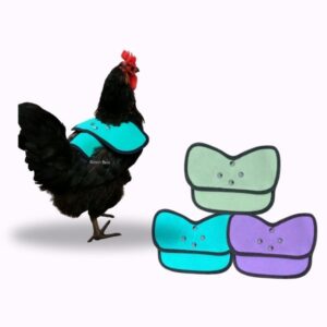 CHICKEN SADDLE | Hen Back Protector | POULET WING PROTECTION