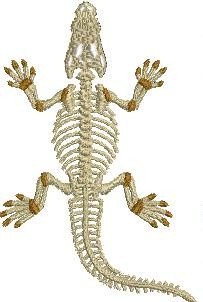 Crocodile Skeleton Machine Embroidery Design | Digital Download
