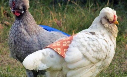 94640613.1679420523620_96b96593-292d-4156-b61f-d8ff5237b6e5