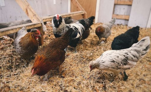 Processed with VSCO with e5 preset