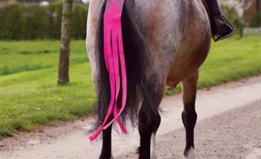 Hi-Viz Safety Tail Streamers by Rose & Bees Ltd